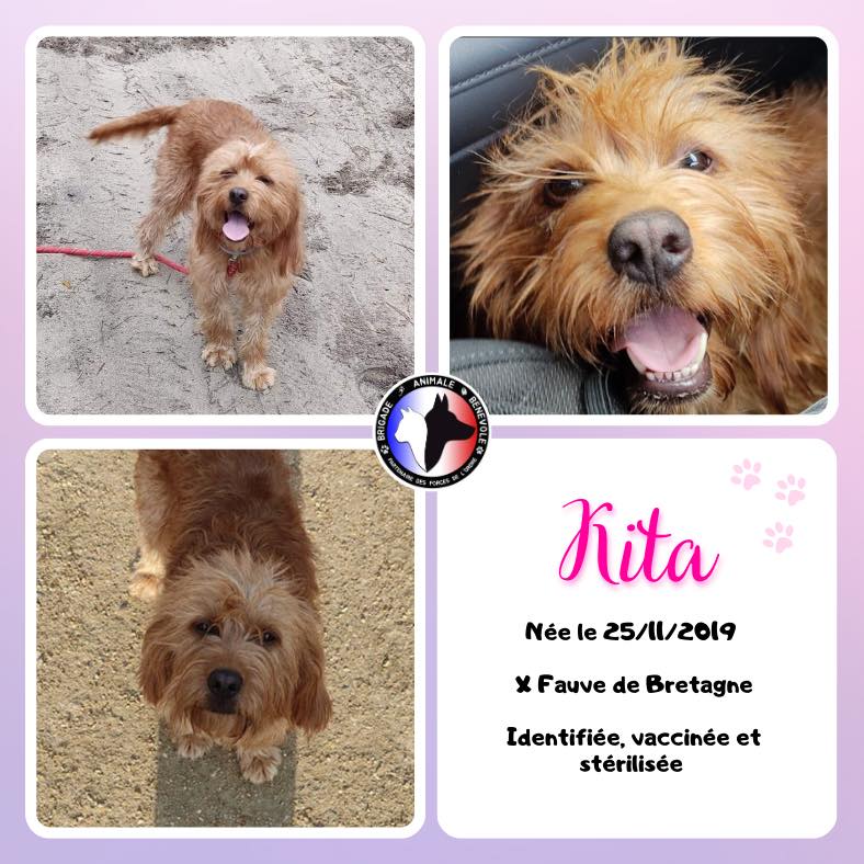 kita adoption