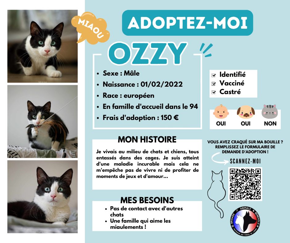 ozzy adoption