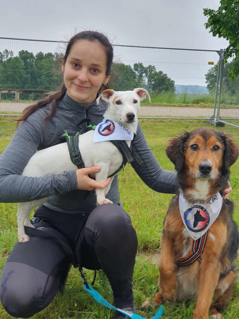 bandana brigade animale bénévole sur deux chiens