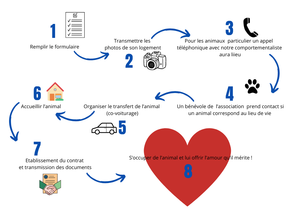 explication devenir famille d'accueil animaux