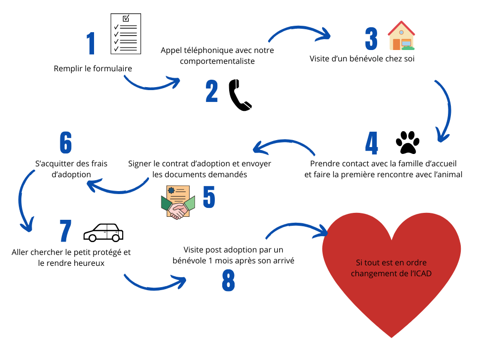 explication adoption chien et adoption chat