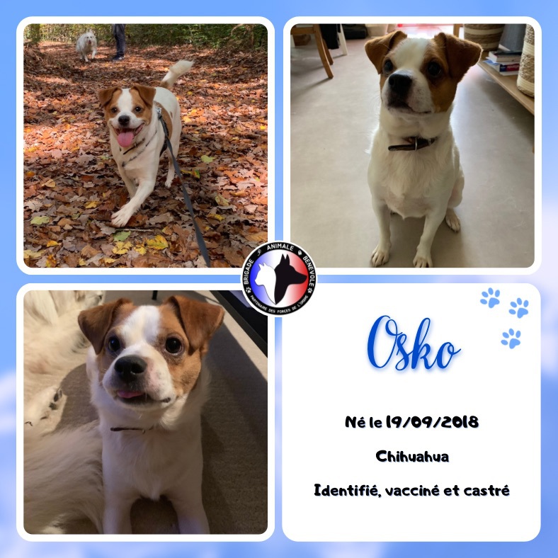 Osko adoption