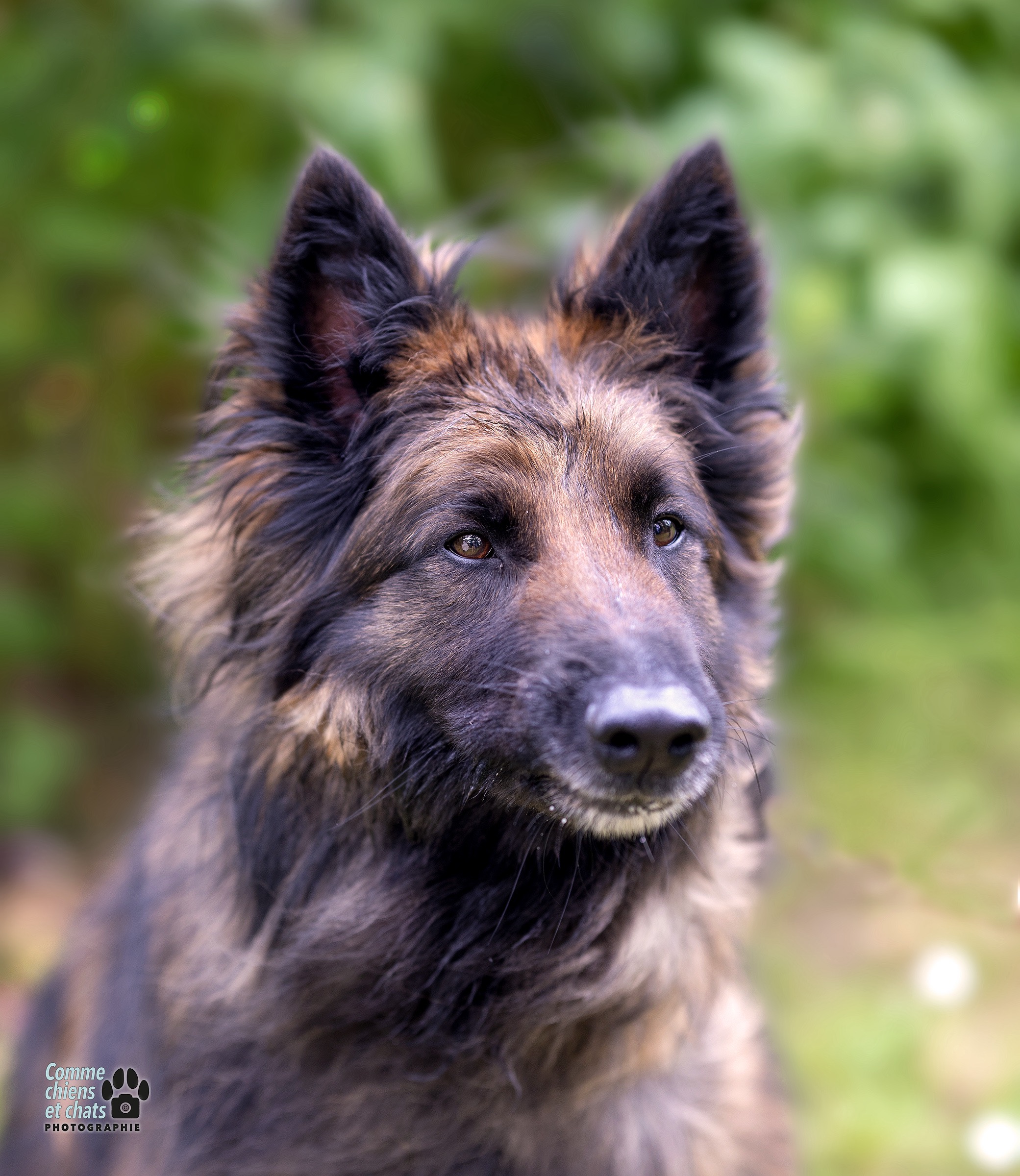 portrait d'octavia bouche fermée