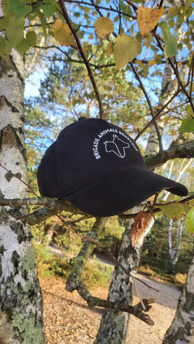 casquette Brigade animale bénévole sur un arbre