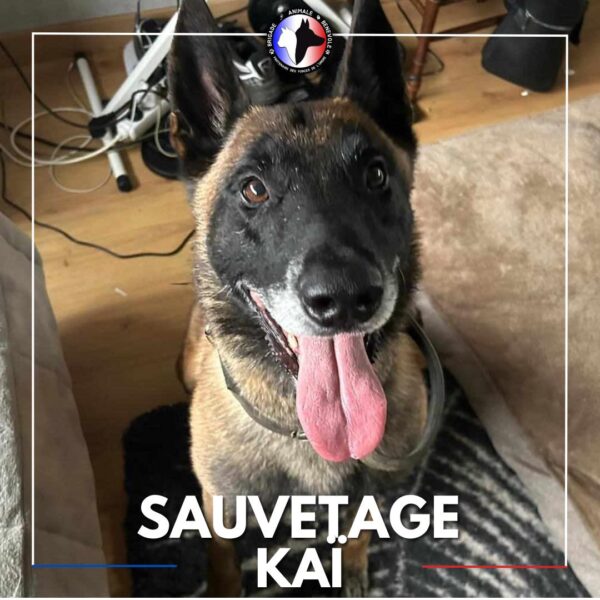 sauvetage kai portrait