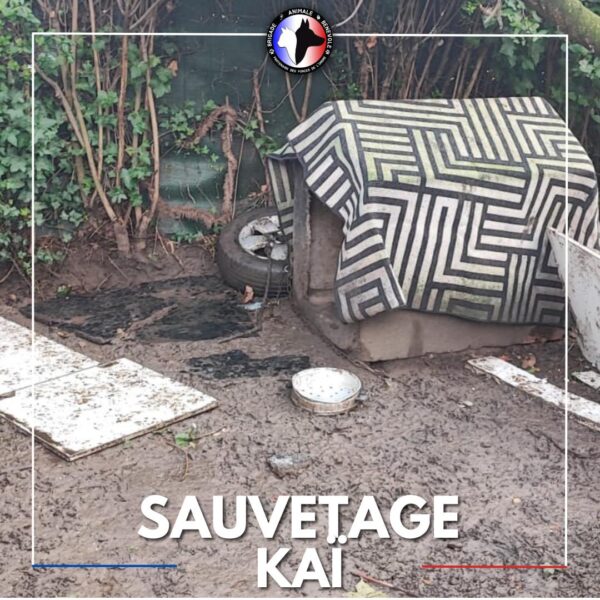 sauvetage kai - ancien lieu de vie insalubre