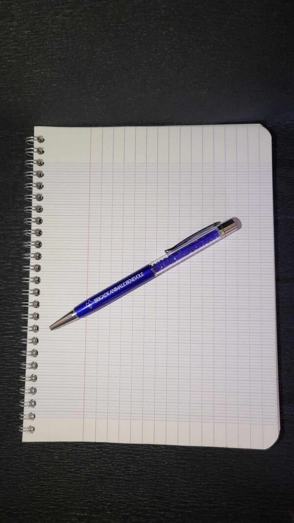 stylo sur cahier