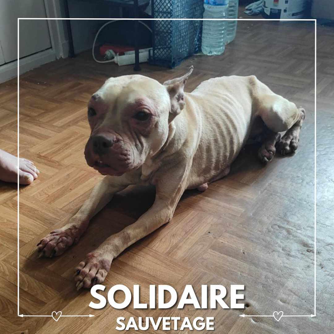 sauvetage solidaire prada