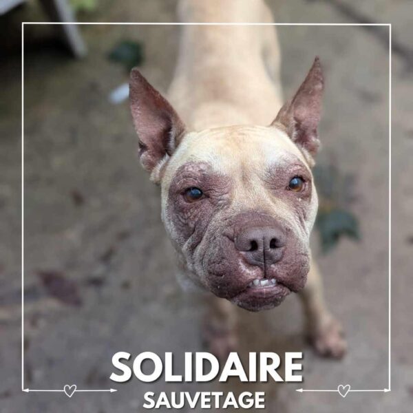 sauvetage solidaire prada