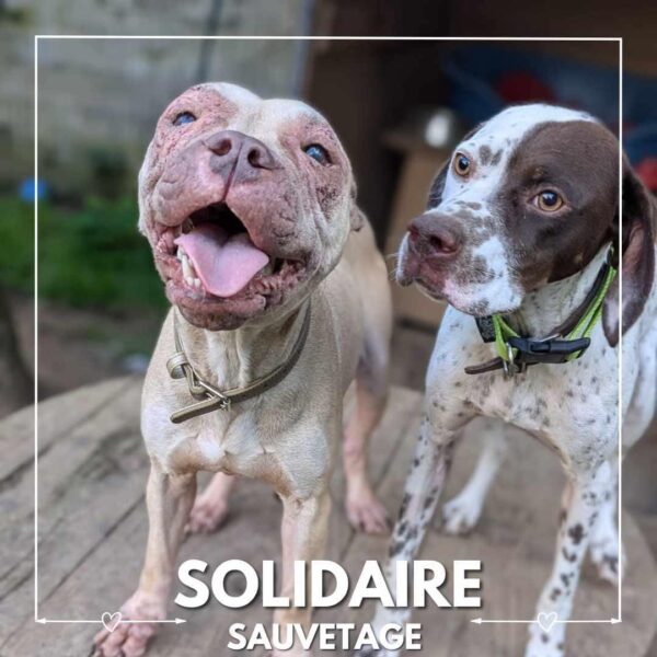 sauvetage solidaire prada