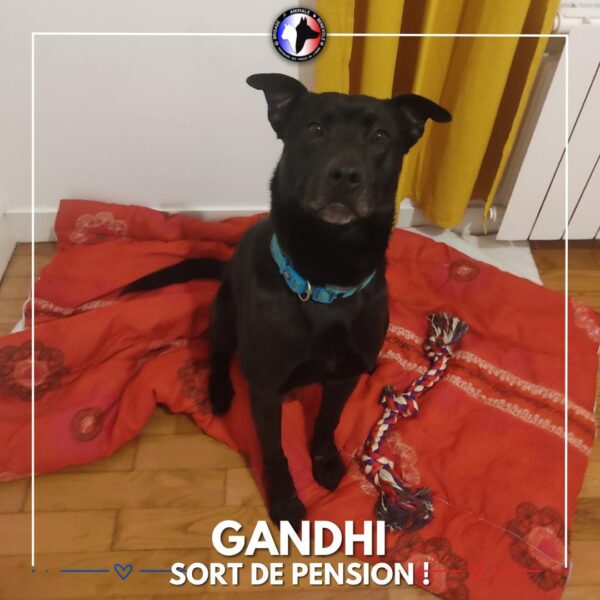 gandhi pour sa sortie de pension