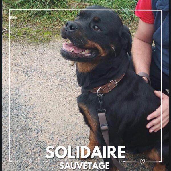 sauvetage solidaire ollie