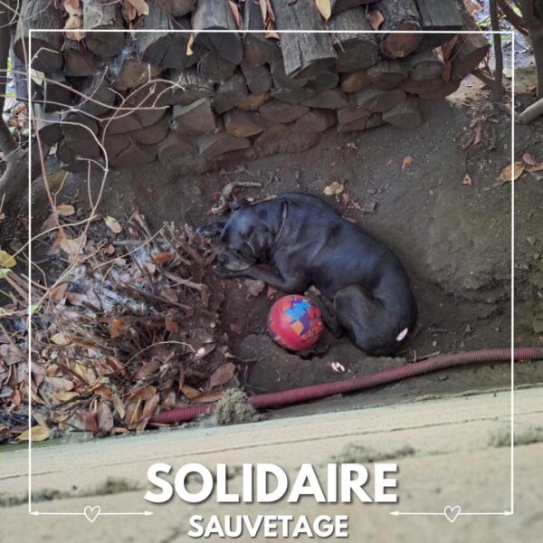 sauvetage solidaire silla