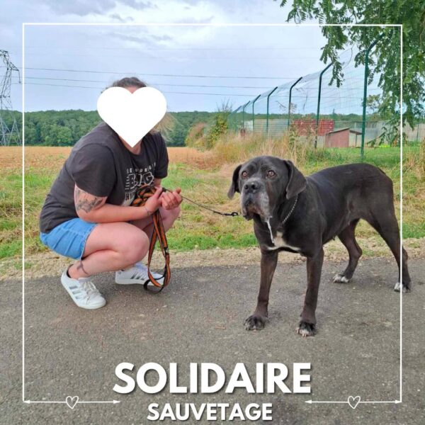 sauvetage solidaire silla