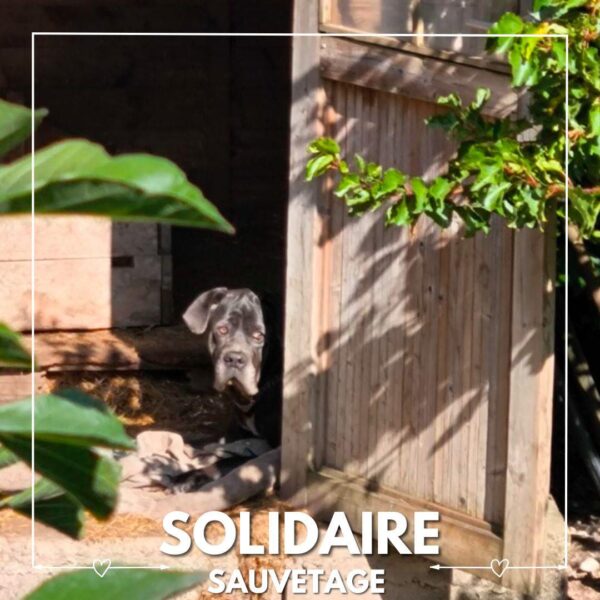 sauvetage solidaire silla