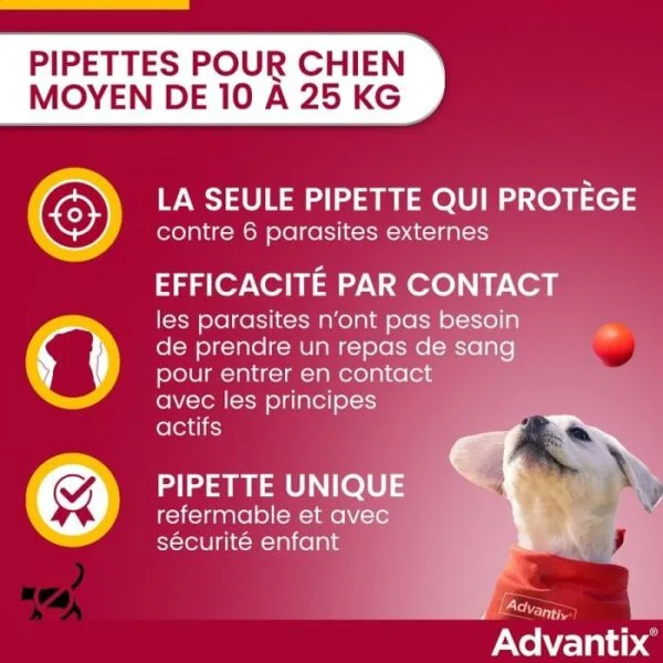 Advantix chien moyen (10 - 25 kg) - 4 pipettes avanatge