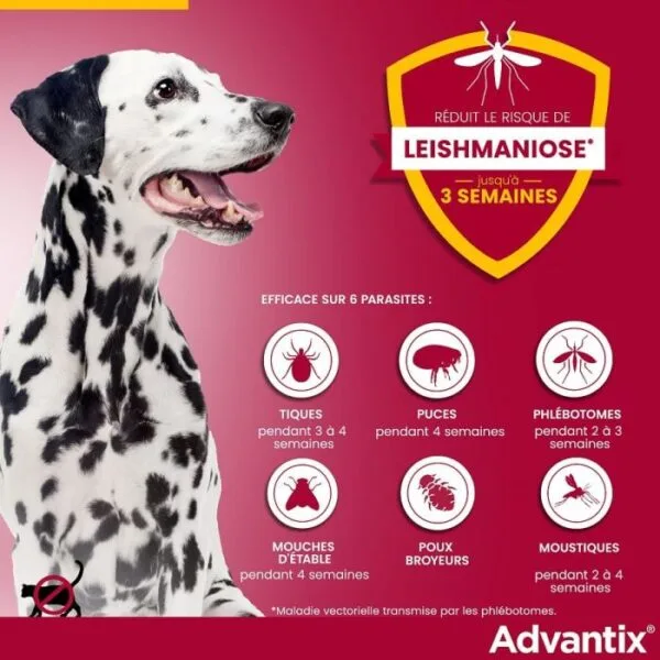 Advantix chien moyen (10 - 25 kg) - 4 pipettes bienfait