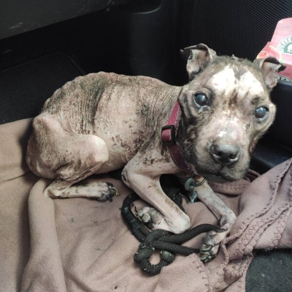 freya le jour de son sauvetage