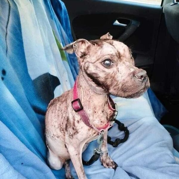 freya lors de son sauvetage