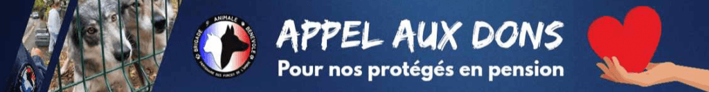 bandeau appel au dons