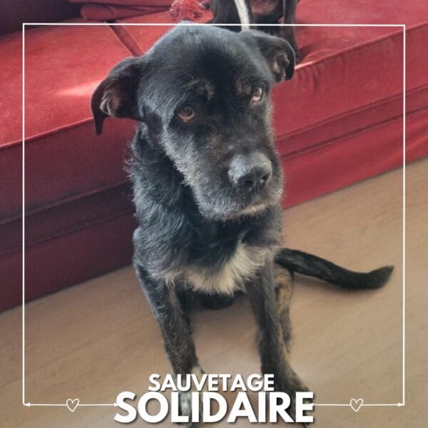 sauvetage solidaire Holaph