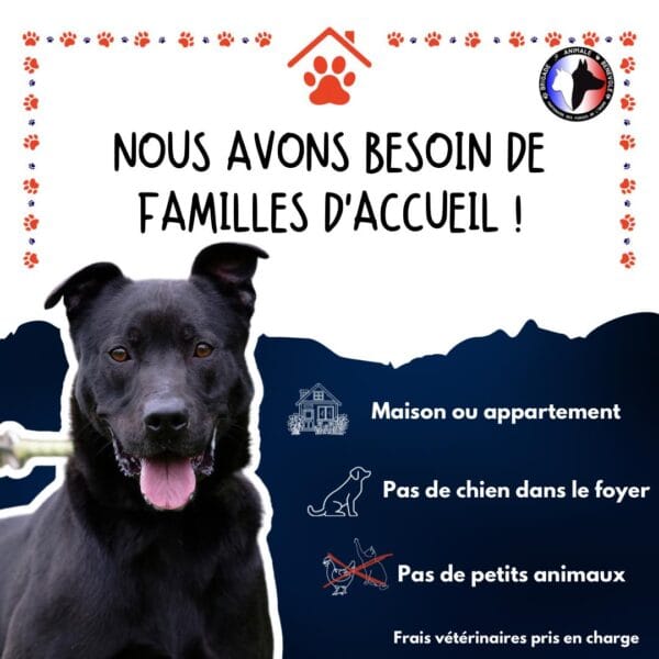 recherche famille d'accueil