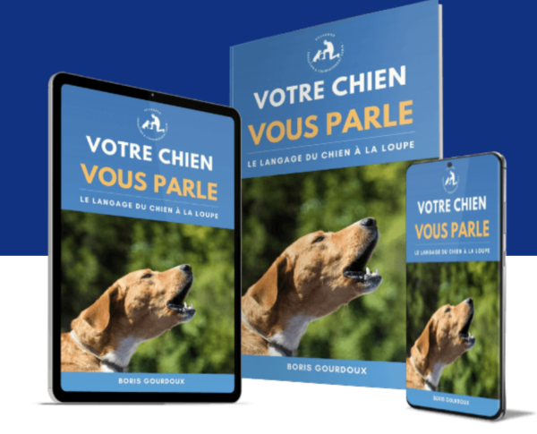 ebook