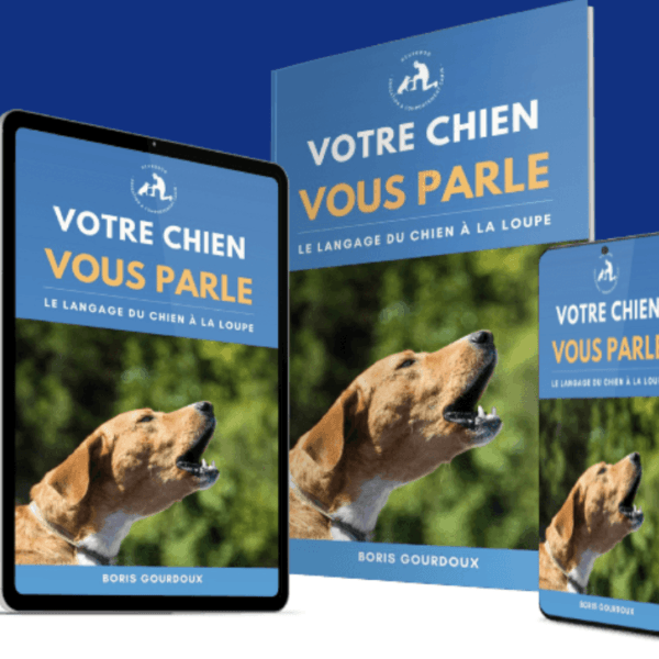 ebook
