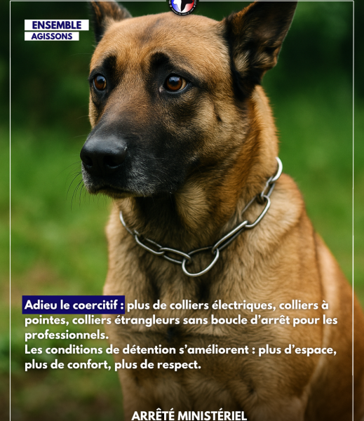 arrêté du 19 juin 2025 collier étrangleur