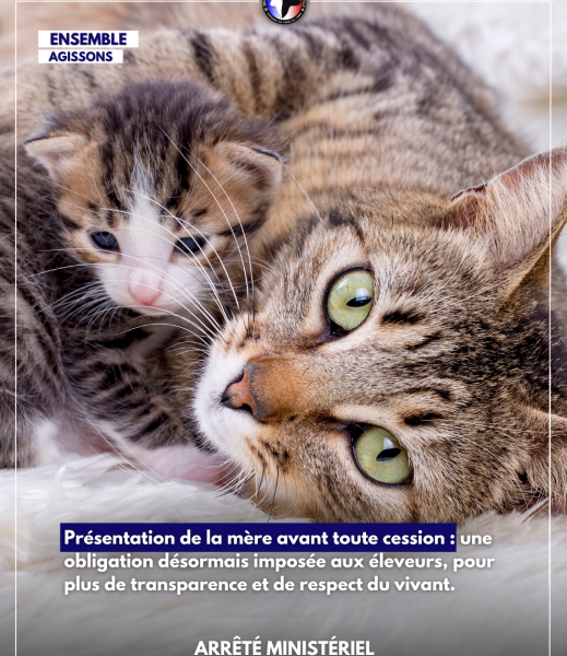 arrêté du 19 juin 2025 présentation de la mère