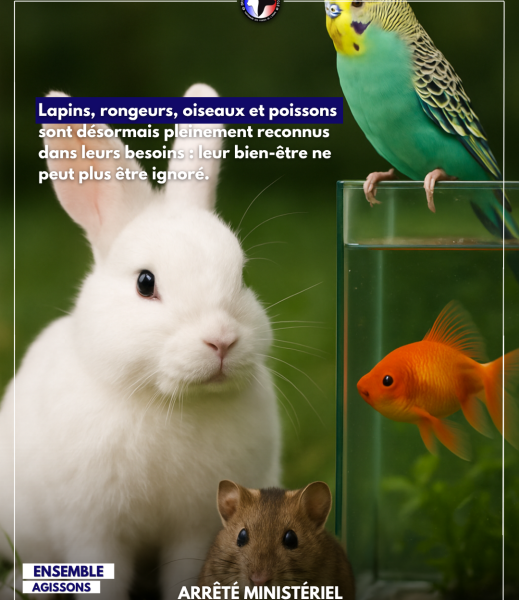 arrêté du 19 juin 2025 lapin et nac