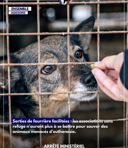 arrêté du 19 juin 2025 sortie de fourrière