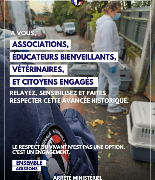 arrêté du 19 juin 2025