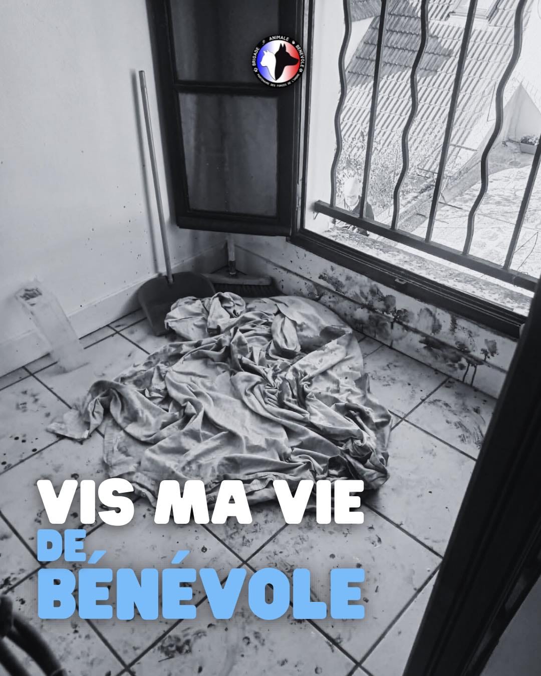vis ma vis de benevole