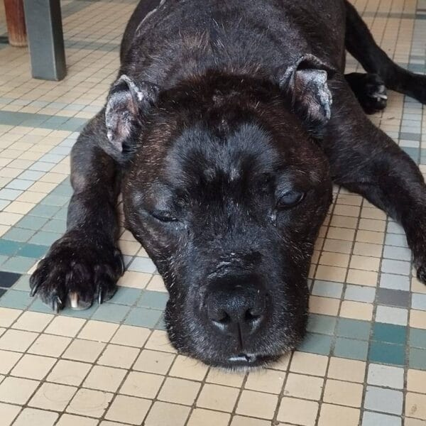 freya pendant la sieste