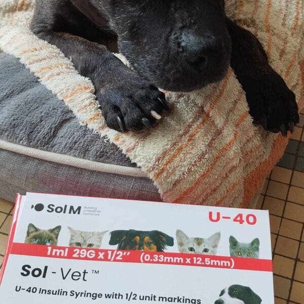 freya devant ses médicaments