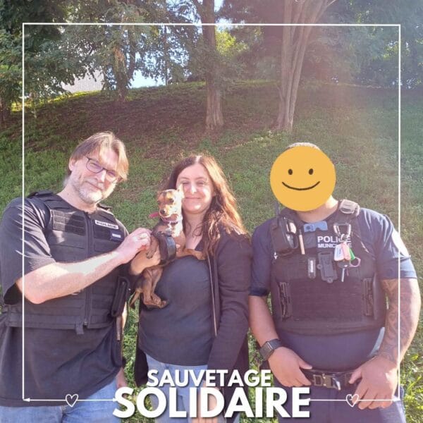 Sauvetage de Nola par SBPA Refuge de Lintot