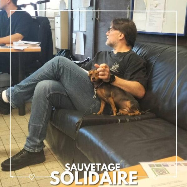 Sauvetage de Nola par SBPA Refuge de Lintot