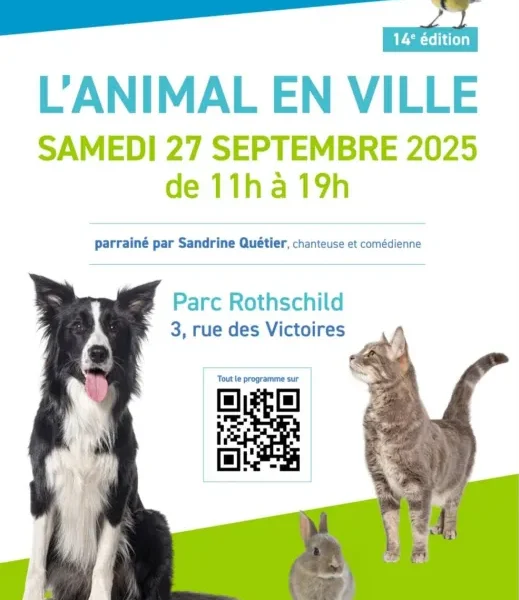 𝐋𝐚 𝐁𝐀𝐁 𝐬𝐞𝐫𝐚 𝐩𝐫𝐞́𝐬𝐞𝐧𝐭𝐞 𝐬𝐮𝐫 𝐥𝐞 𝐬𝐚𝐥𝐨𝐧 𝐋'𝐀𝐧𝐢𝐦𝐚𝐥 𝐞𝐧 𝐕𝐢𝐥𝐥𝐞 𝐚̀ 𝐁𝐨𝐮𝐥𝐨𝐠𝐧𝐞 𝐁𝐢𝐥𝐥𝐚𝐧𝐜𝐨𝐮𝐫𝐭