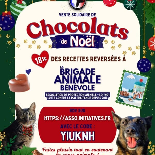 vente chocolat noël