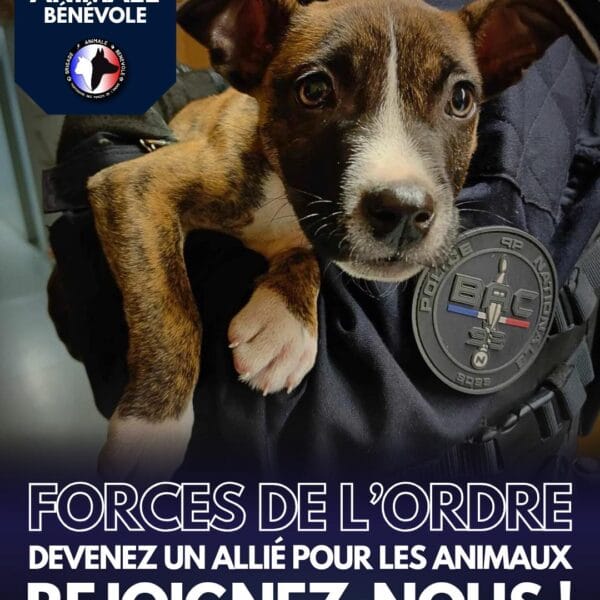 force de l'ordre, rejoignez la brigade animale bénévole