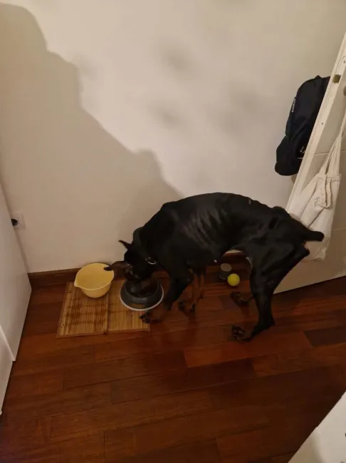 Arthur lors de la PEC