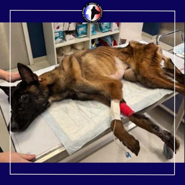 makai à la clinique