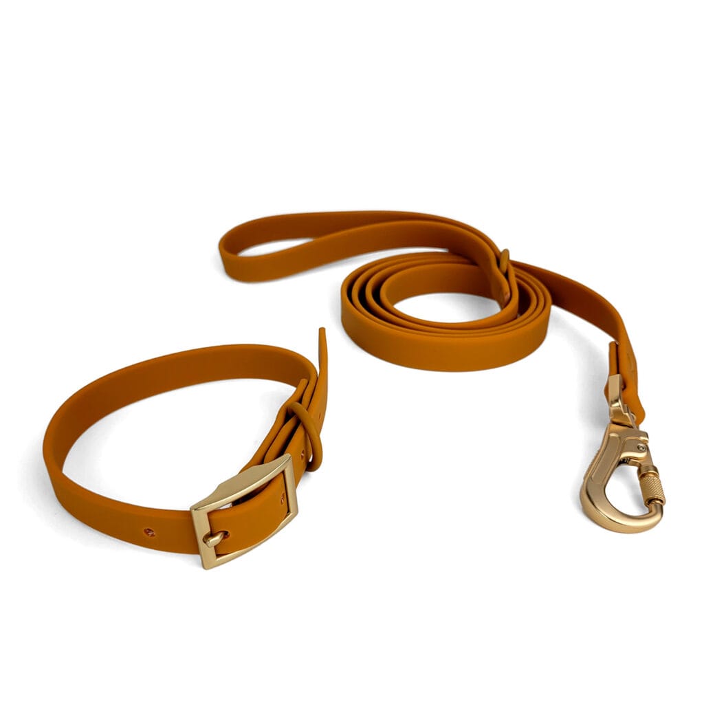 lot tombola bab pawpix