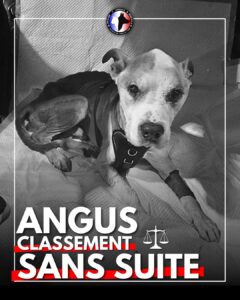 angus - classement sans suite