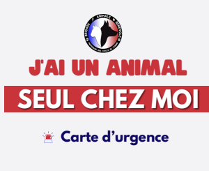 Carte urgence