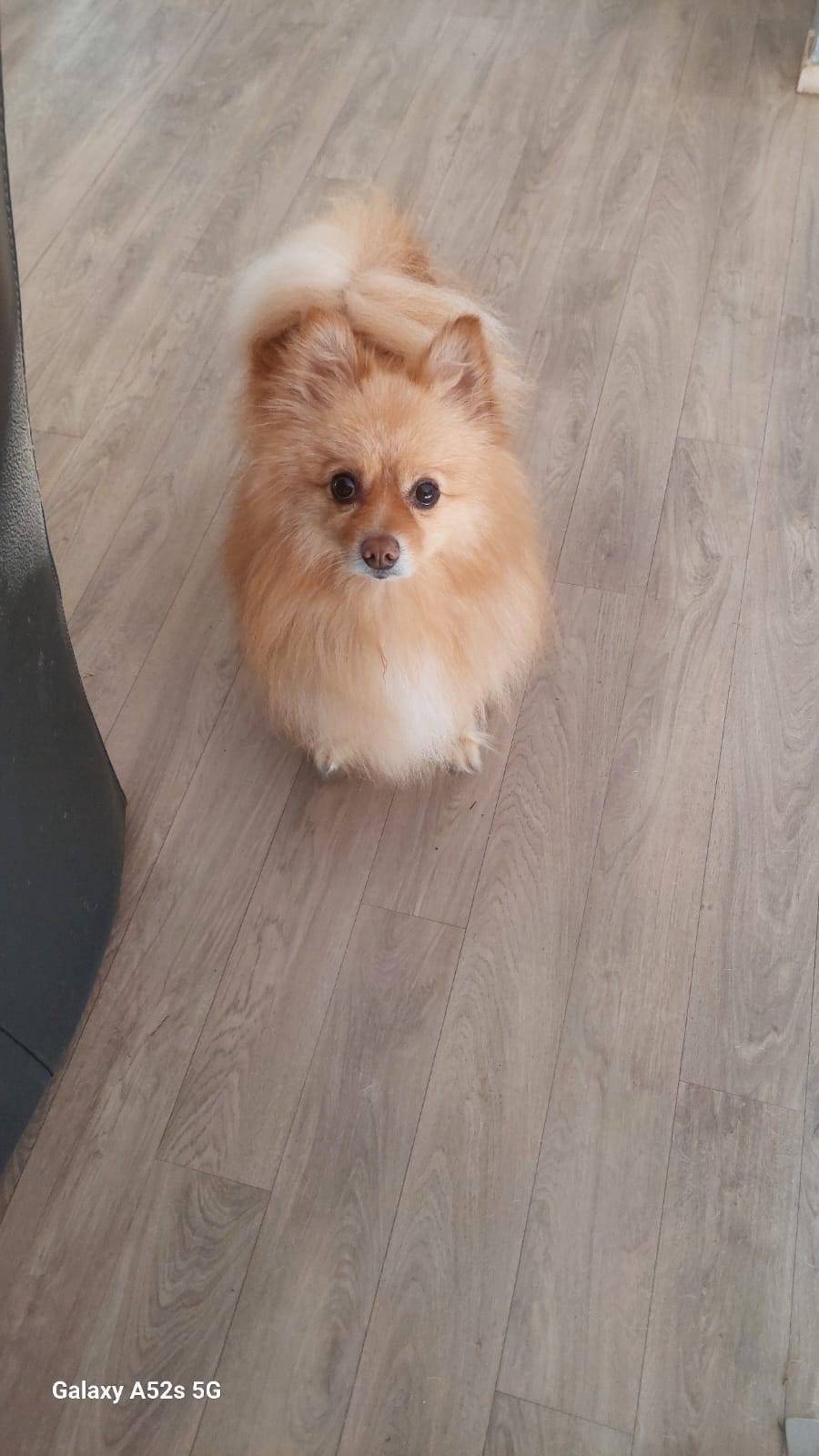 Lire la suite à propos de l’article Fitji