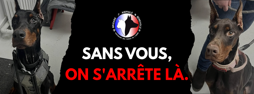 bandeau appel au don