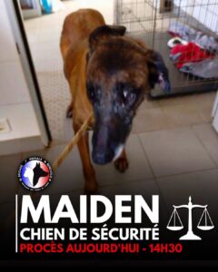 procès maiden
