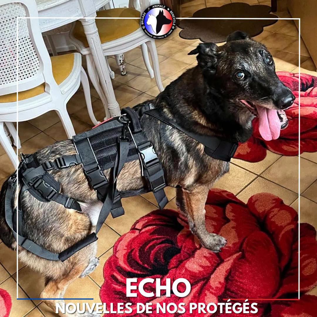 Nouvelle d'echo